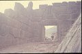 mycenae1975