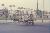 cairo17 cart